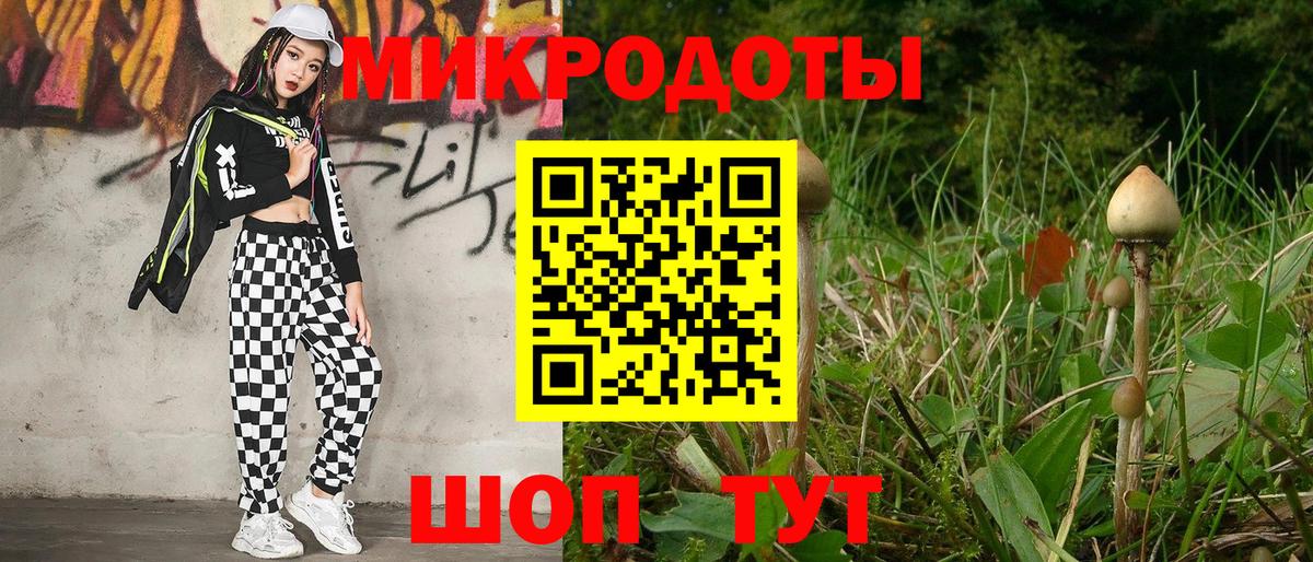 Галлюциногенные грибы Psilocybine cubensis Великий Устюг