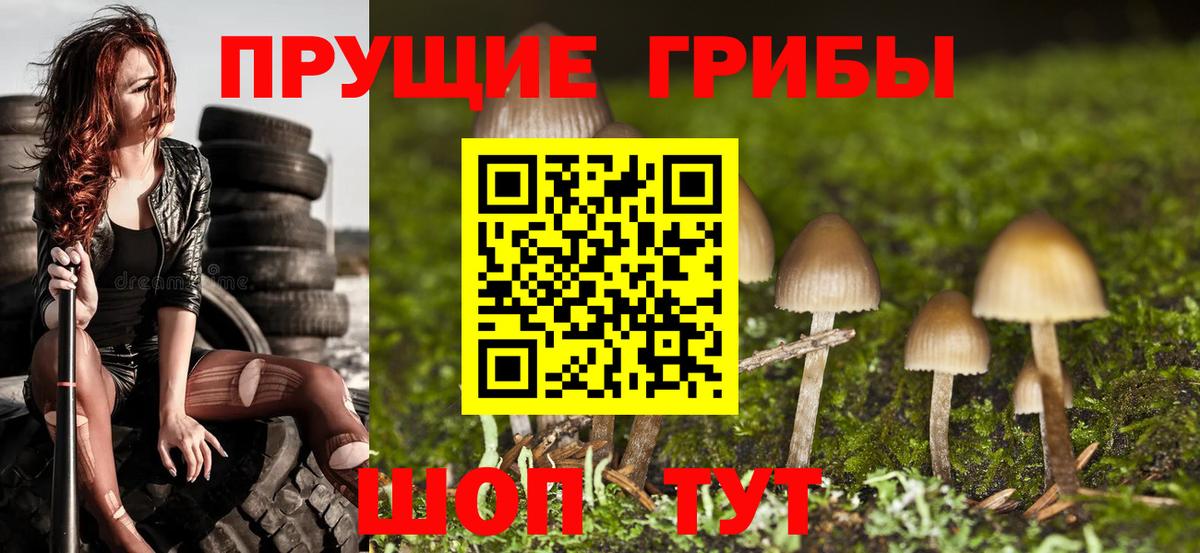 Галлюциногенные грибы MAGIC MUSHROOMS  где найти наркотики  Великий Устюг  Вход с VPN 