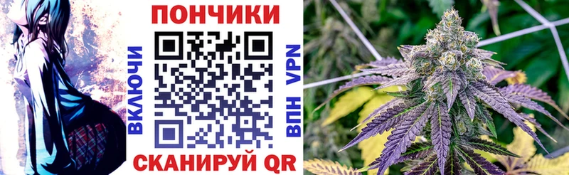 где купить   Великий Устюг  МАРИХУАНА SATIVA & INDICA 